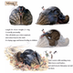 The winning design from The Jim Henson Company’s Dark Crystal creature contest.